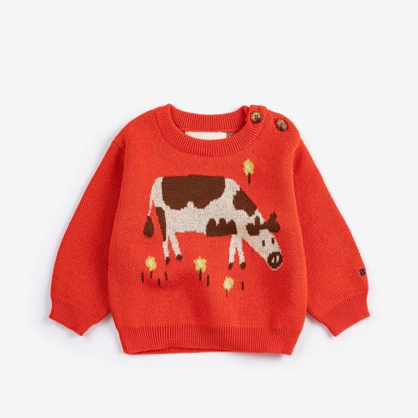 Farm Adventure jumper