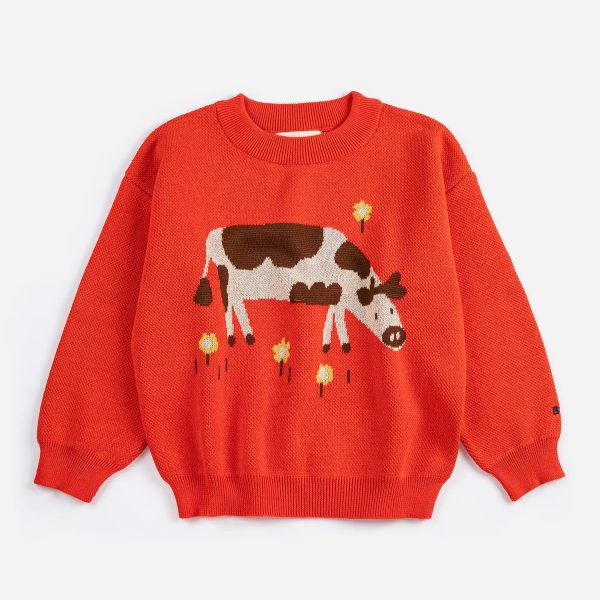 Farm Adventure jumper